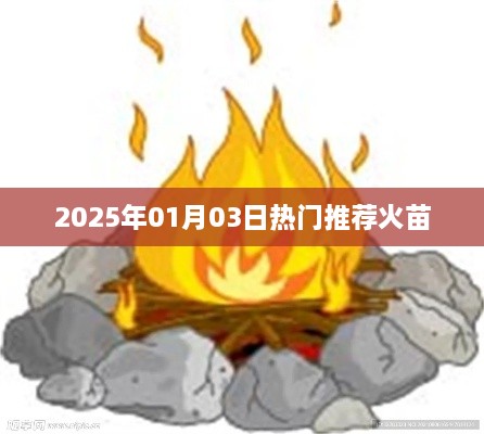 2025年热门推荐，新年新火苗，不容错过！