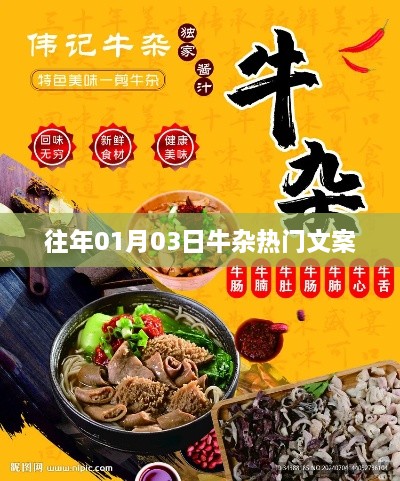 牛杂热门文案大揭秘，历年精选回顾