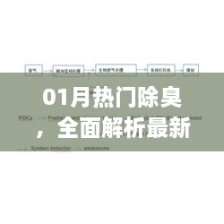 最新全面解析，一月热门除臭技术与方法