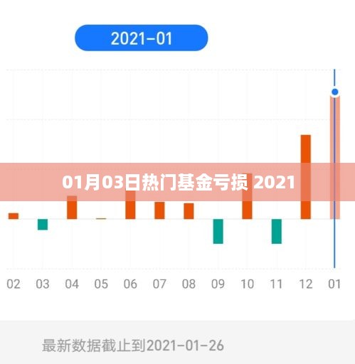 2021年热门基金亏损情况分析（日期，01月03日）