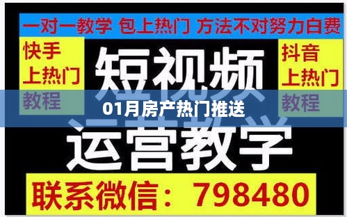 热门房产资讯速递，一月份最新动态