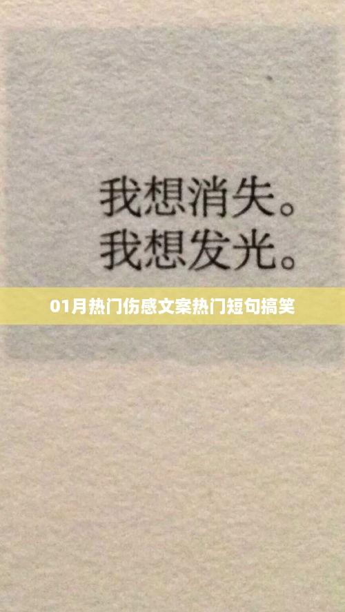 根据您的需求，结合内容特点，为您生成以下符合百度收录标准的标题，，一月伤感文案搞笑短句大放送，符合您要求的字数范围，同时突出了内容的重点，适合用于百度收录。