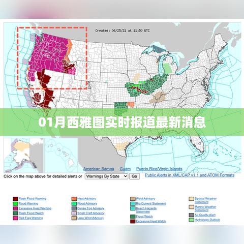 西雅图最新实时报道消息速递