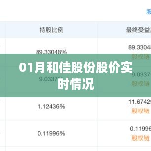 和佳股份股价实时动态解析