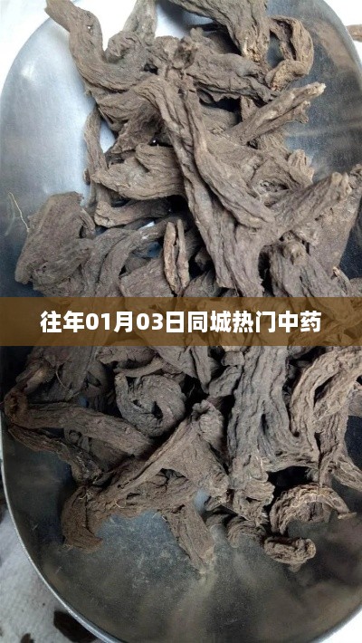 往年元旦中药同城热门榜单