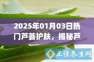 揭秘芦荟护肤奥秘，神奇魅力展现光彩