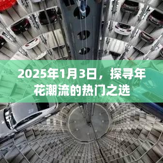 2025年1月3日，年花潮流热门之选大揭秘