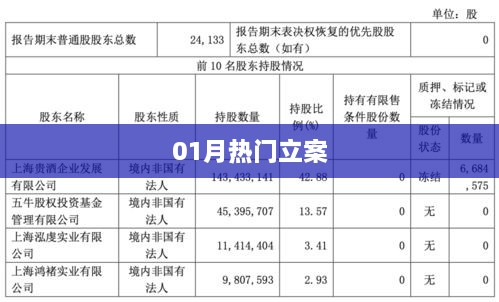 最新热门立案信息解析