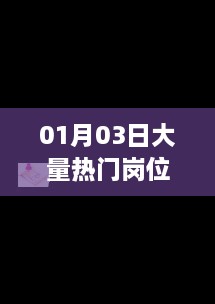 热门岗位完整版视频，探索职业发展最新动态