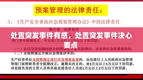 处置突发事件有感，处置突发事件决心要点 