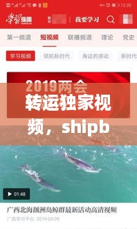 转运独家视频，shipbao转运 