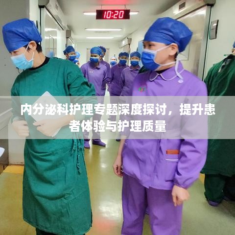 内分泌科护理专题深度探讨，提升患者体验与护理质量