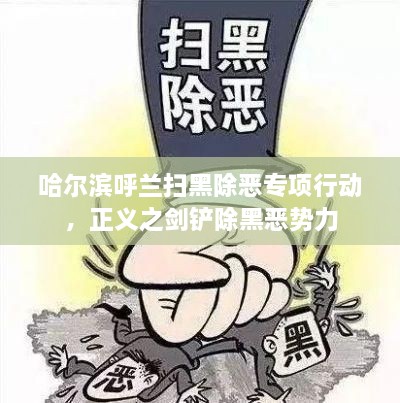 哈尔滨呼兰扫黑除恶专项行动，正义之剑铲除黑恶势力