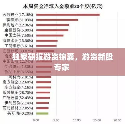 独家研报游资锦囊，游资新股专家 