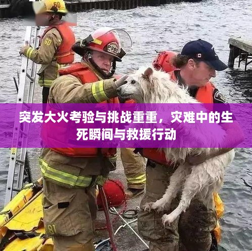 突发大火考验与挑战重重，灾难中的生死瞬间与救援行动