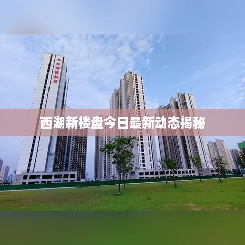 西湖新楼盘今日最新动态揭秘