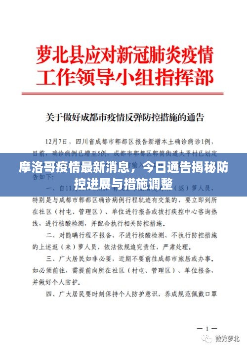 摩洛哥疫情最新消息，今日通告揭秘防控进展与措施调整