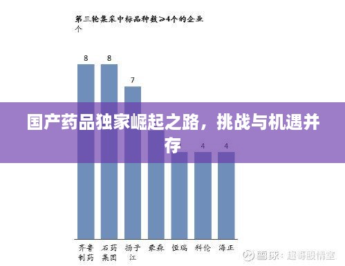 国产药品独家崛起之路，挑战与机遇并存