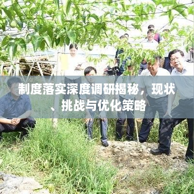 制度落实深度调研揭秘，现状、挑战与优化策略