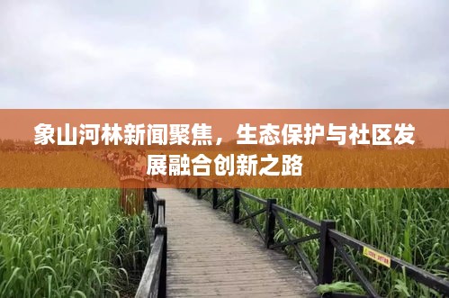 象山河林新闻聚焦，生态保护与社区发展融合创新之路