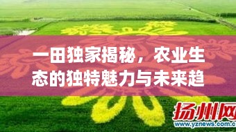 一田独家揭秘，农业生态的独特魅力与未来趋势探索