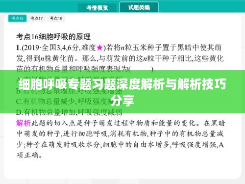 细胞呼吸专题习题深度解析与解析技巧分享