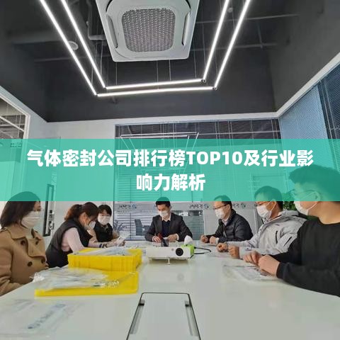 气体密封公司排行榜TOP10及行业影响力解析