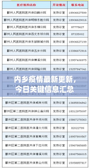 内乡疫情最新更新，今日关键信息汇总