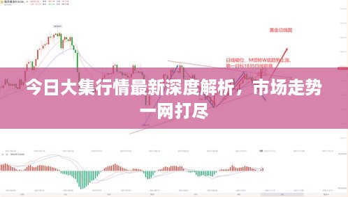 今日大集行情最新深度解析，市场走势一网打尽