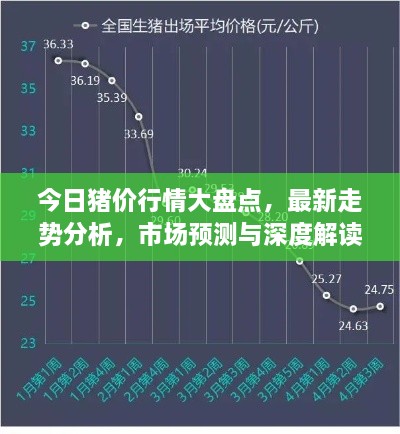 今日猪价行情大盘点，最新走势分析，市场预测与深度解读