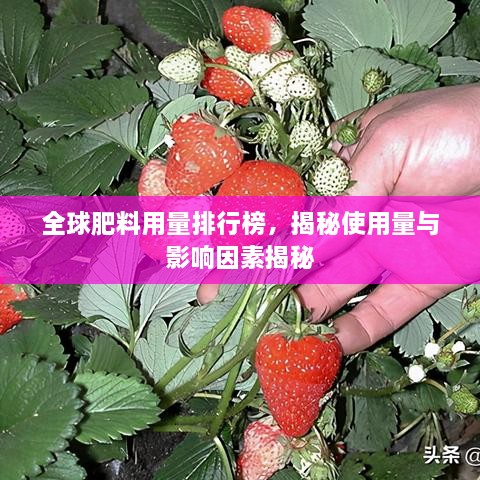 全球肥料用量排行榜，揭秘使用量与影响因素揭秘