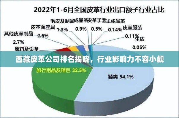 西藏皮革公司排名揭晓，行业影响力不容小觑