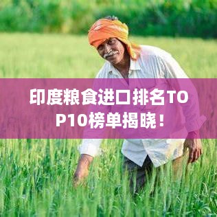 印度粮食进口排名TOP10榜单揭晓！