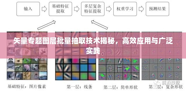 矢量专题图层批量抽取技术揭秘，高效应用与广泛实践