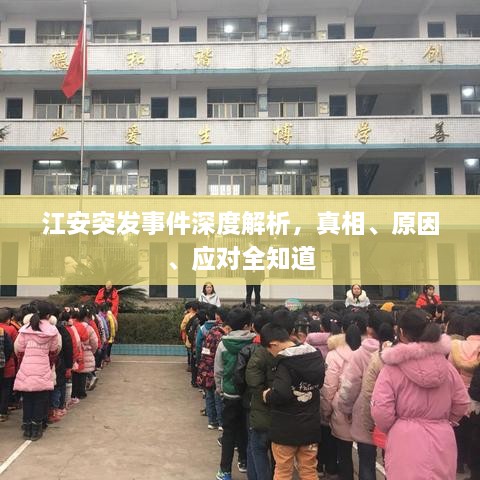 江安突发事件深度解析，真相、原因、应对全知道