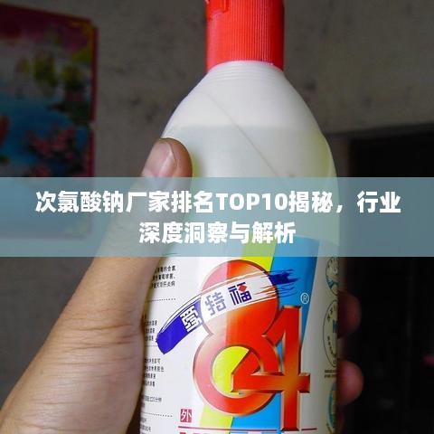 次氯酸钠厂家排名TOP10揭秘，行业深度洞察与解析