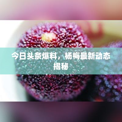 今日头条爆料，杨梅最新动态揭秘