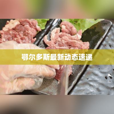 鄂尔多斯最新动态速递