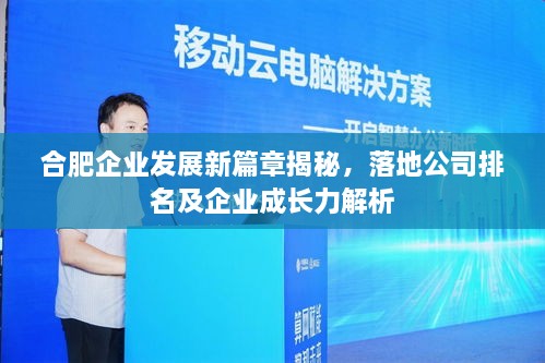 合肥企业发展新篇章揭秘，落地公司排名及企业成长力解析