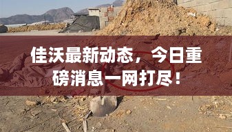 佳沃最新动态，今日重磅消息一网打尽！