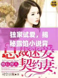 独家试爱，揭秘露馅小说背后的秘密
